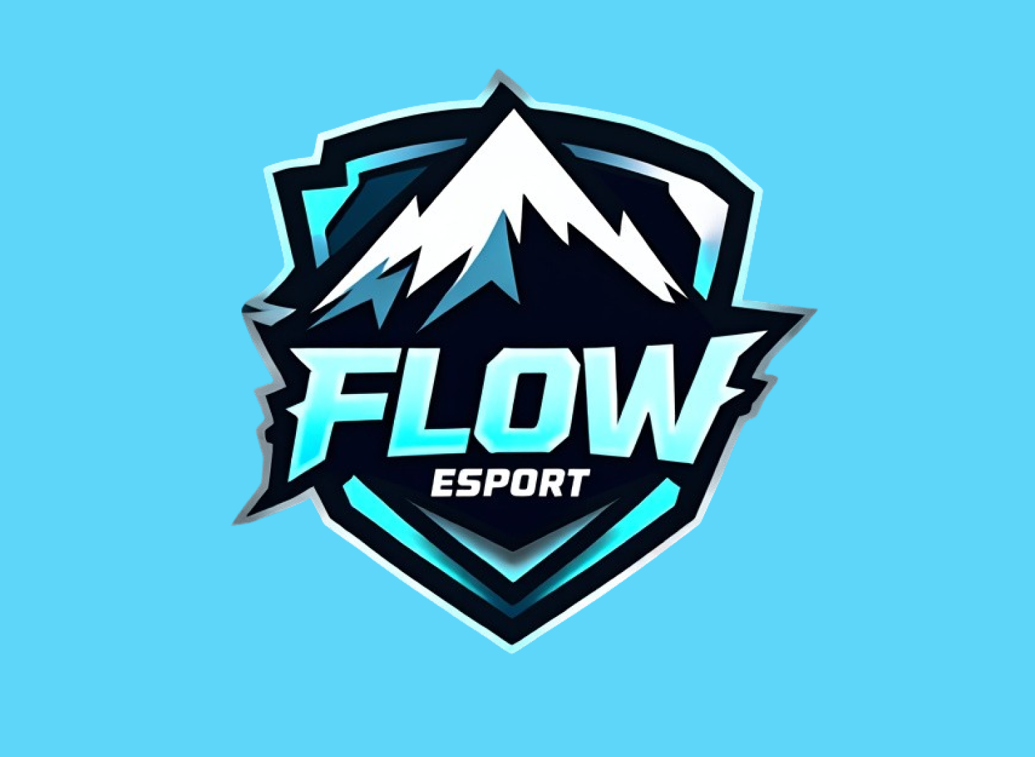 Flow Store