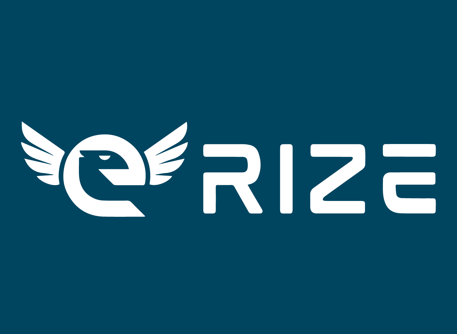 eRize Store