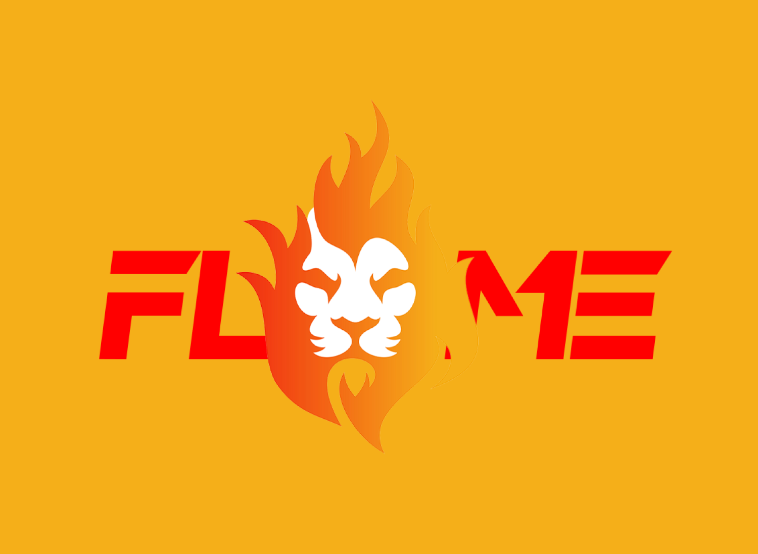 Flame Store