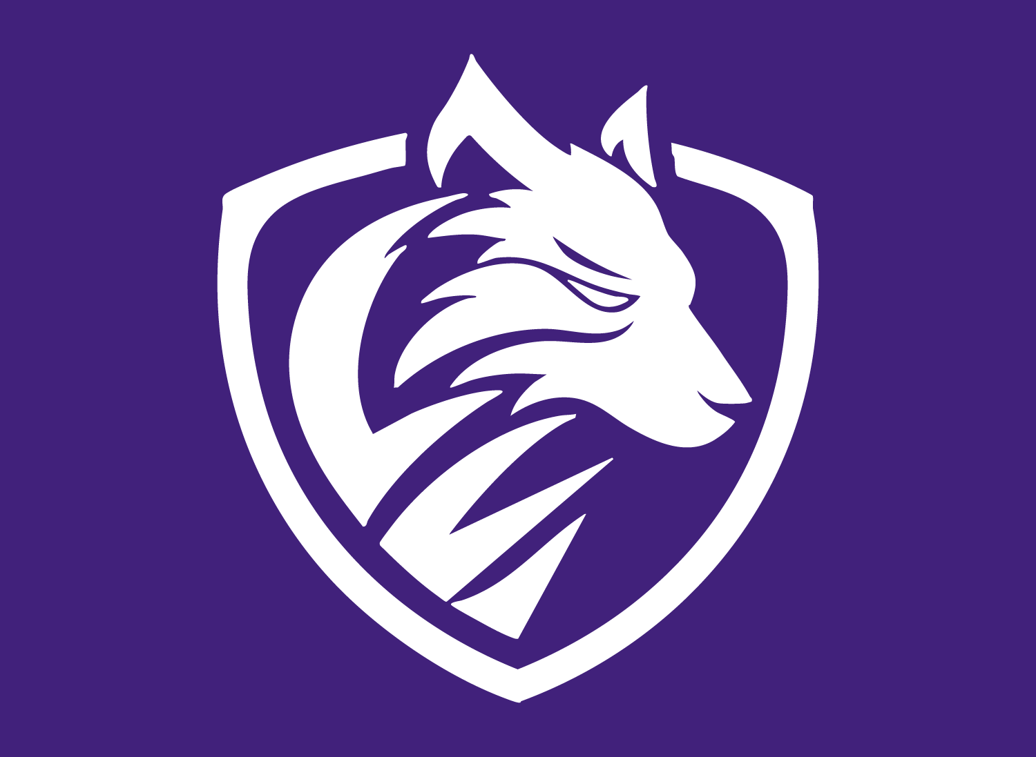 Chrome Esports Store