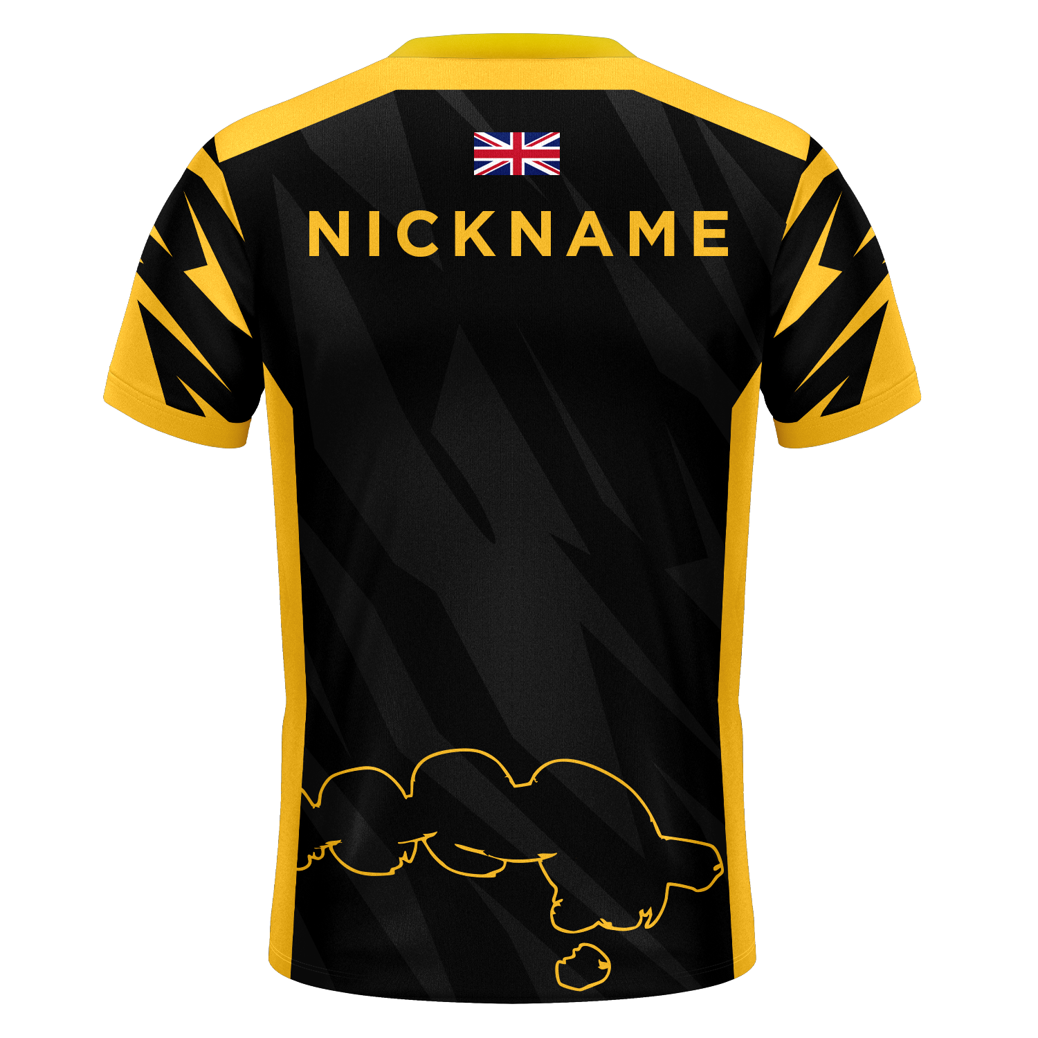Flawless Region Elite Pro Jersey