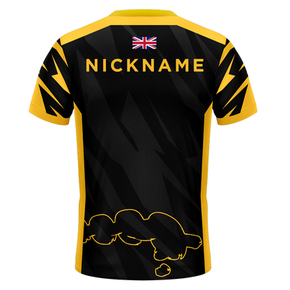 Flawless Region Elite Pro Jersey
