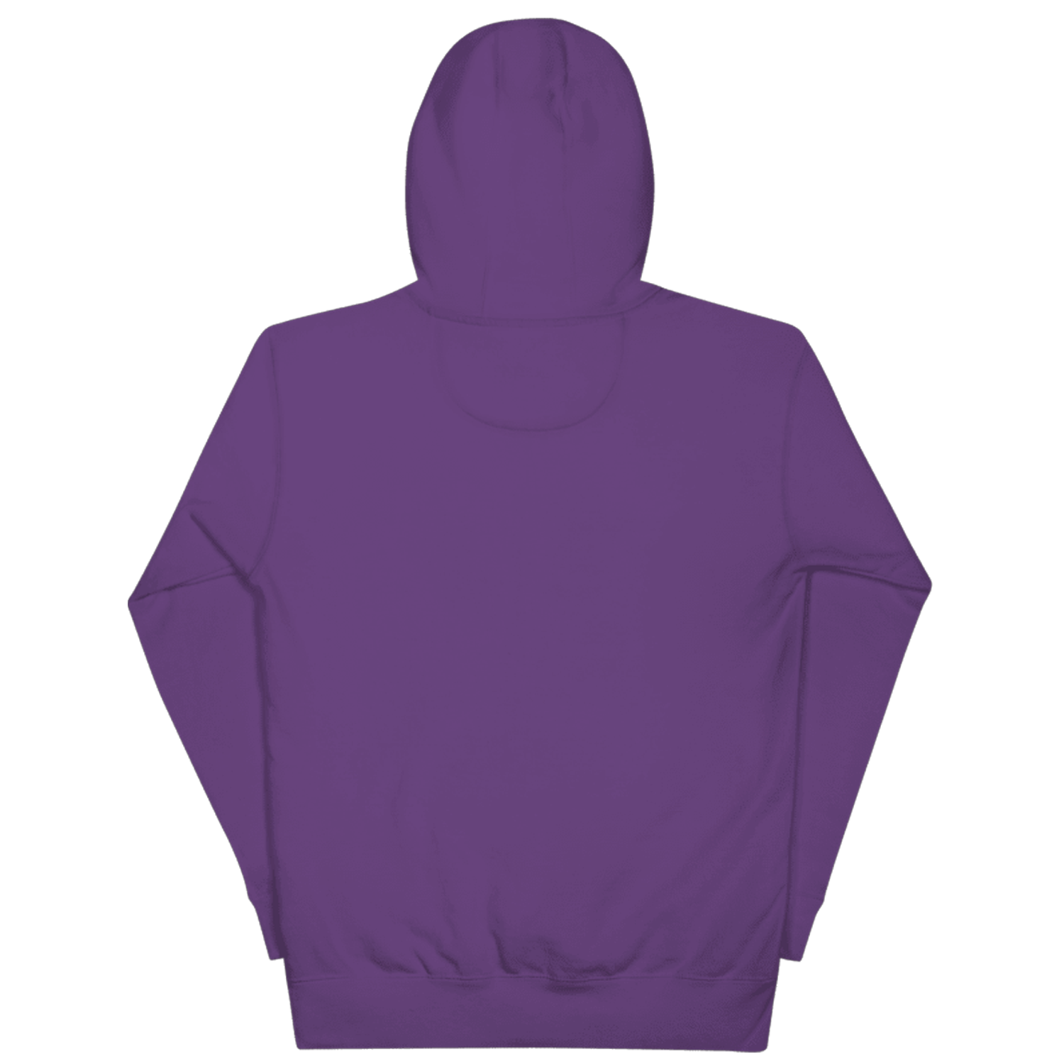 Aura Esports Hoodie