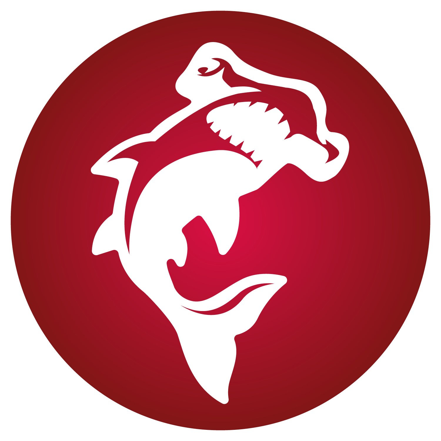 Ruby Design Package