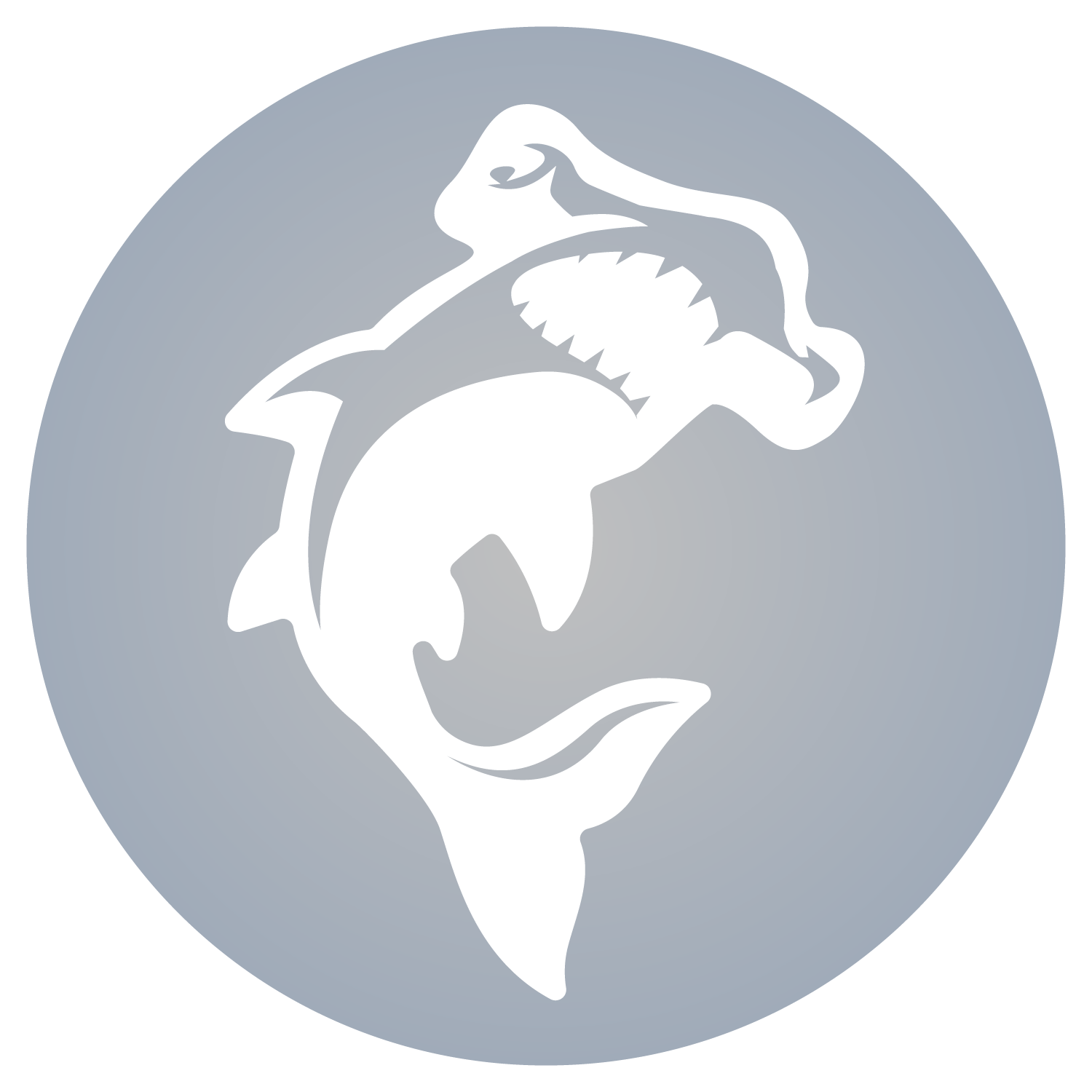 Silver Design Package