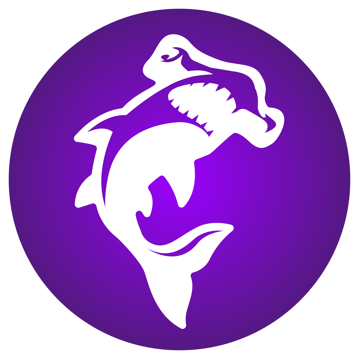 Streamer Design Package
