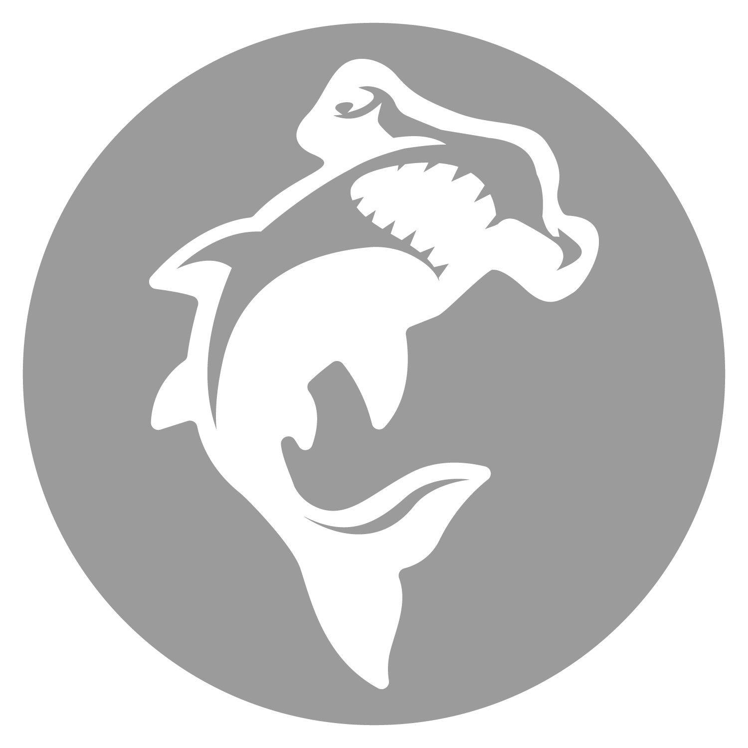 Silver Store Package