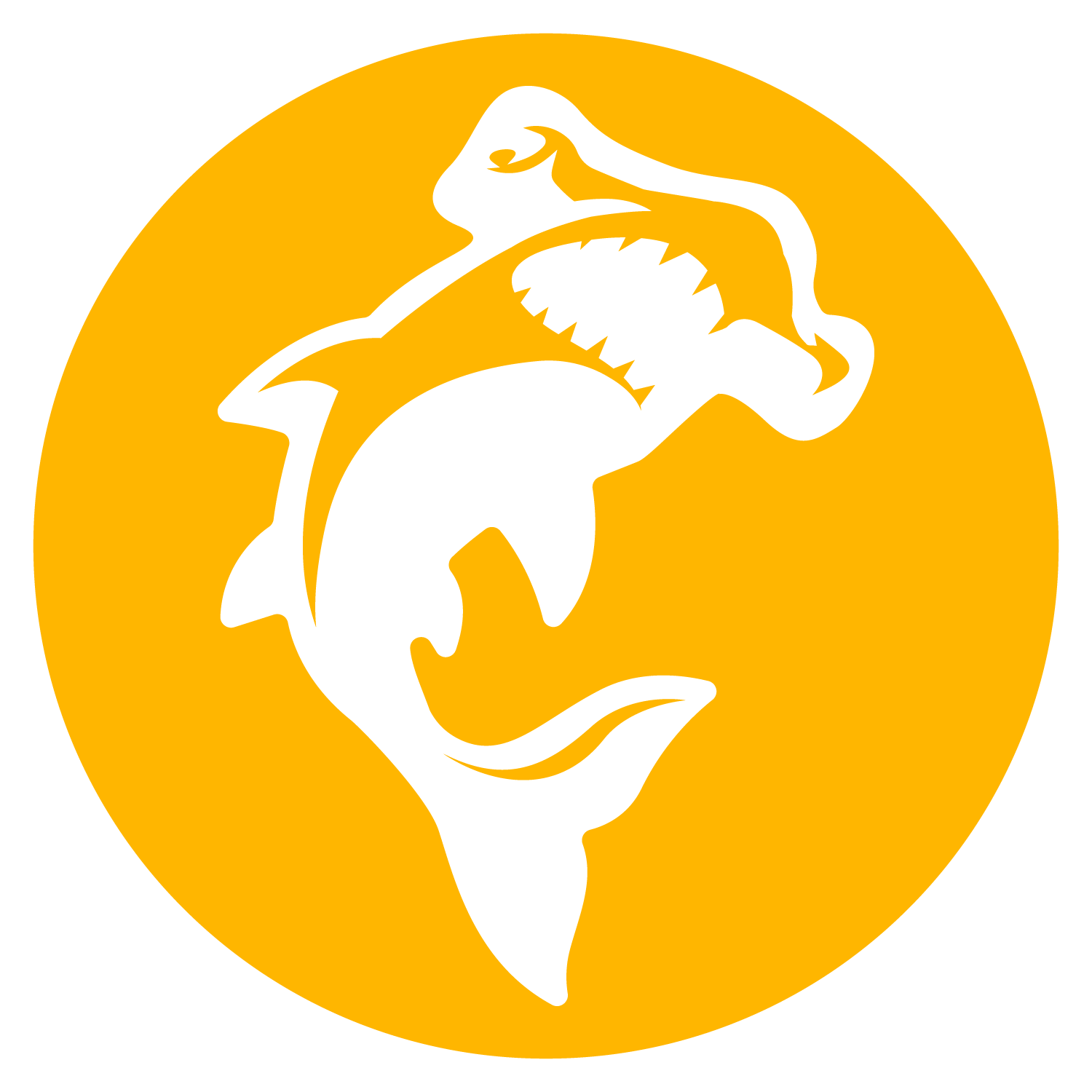 Gold Store Package