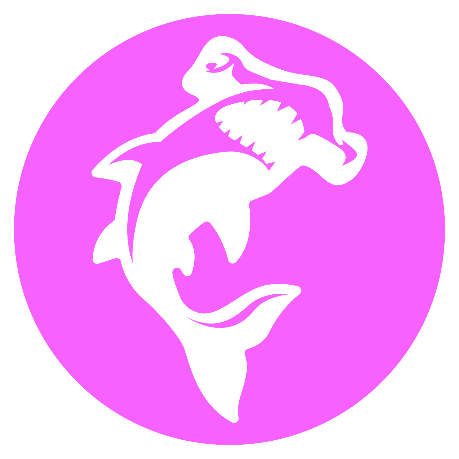 Pink Store Package